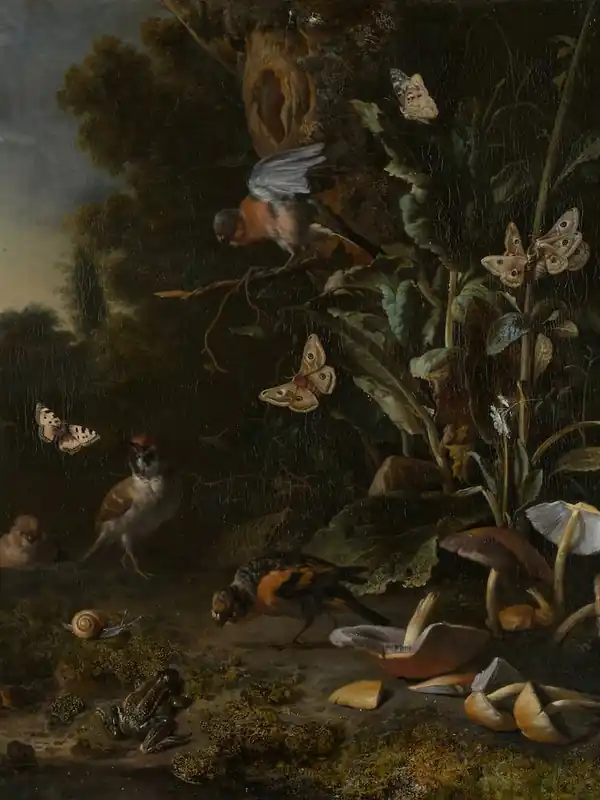 Genuine Birds, Butterflies And A Frog Among Plants And Fungi, Melchior D'Hondecoeter