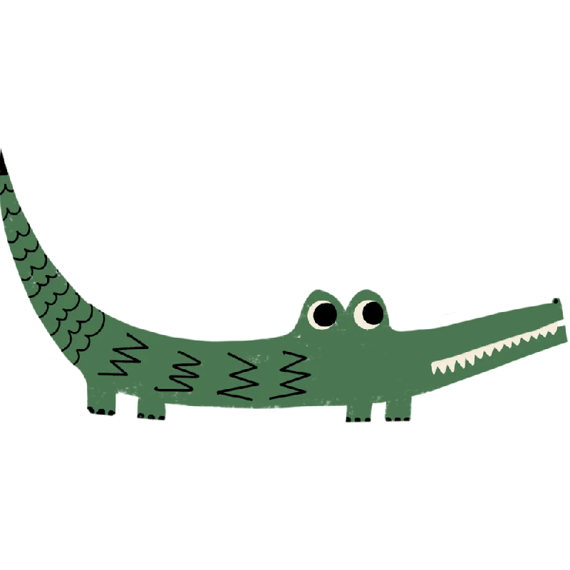 Cute Funny Crocodile Special Offer