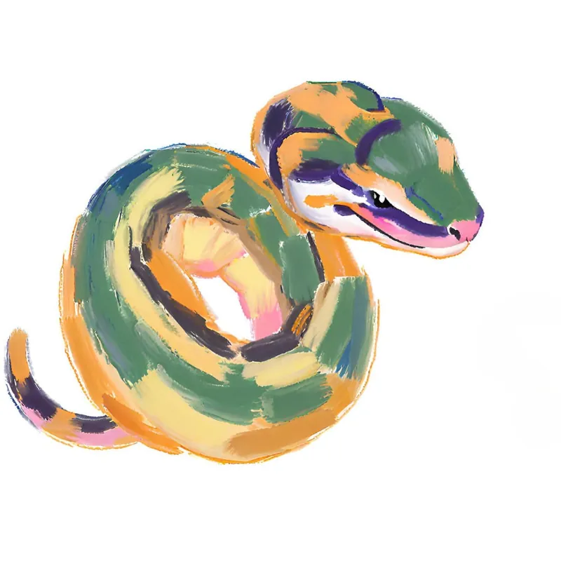 Ball Python Snake 06 Luxury