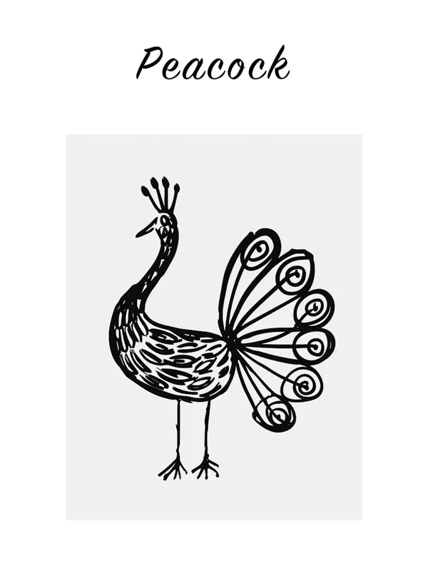 Budget B&W Peacock Poster