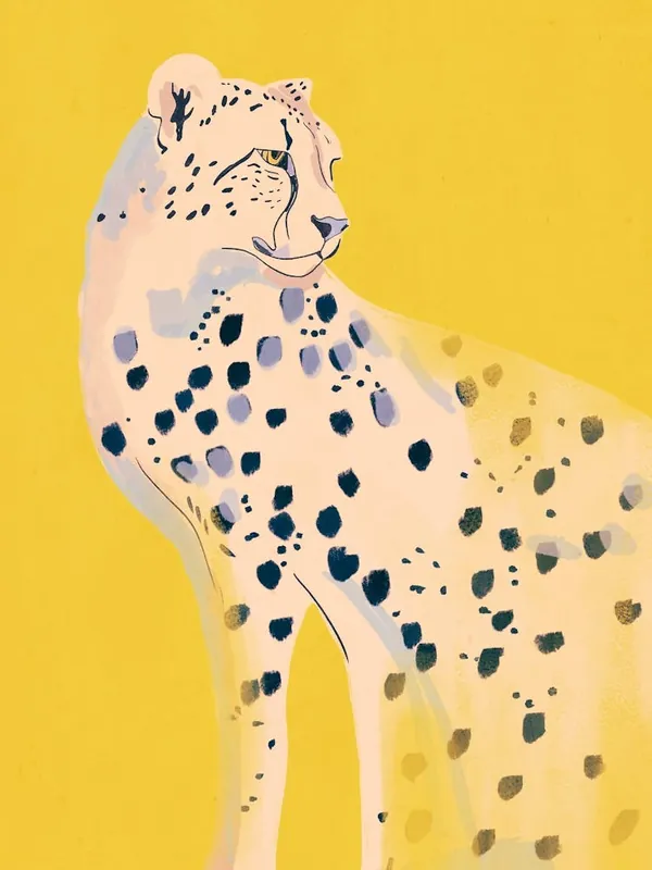 Cheetah 15 Free Delivery