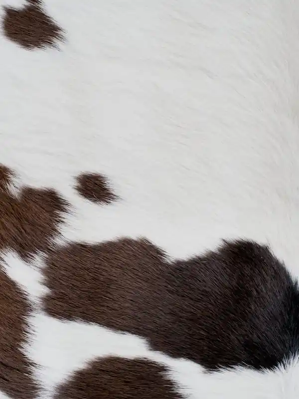 Handmade Cow Skin Texture