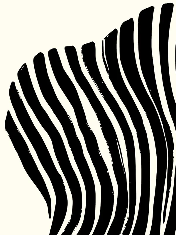 Fast Shipping Zebra Stripes