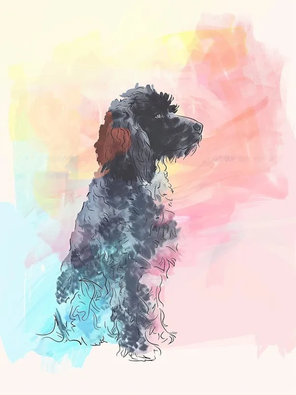 Irish Water Spaniel Dog Pastel Watercolour Illustration Best Price
