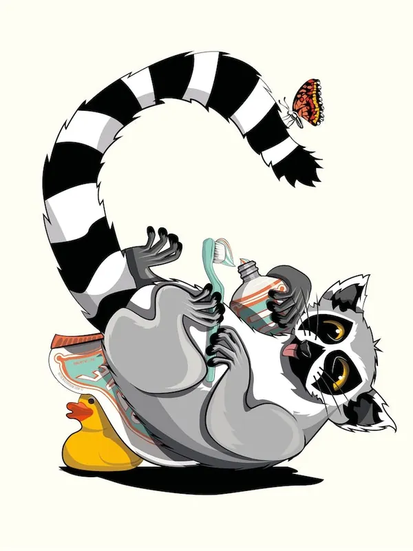 Buy Online Ring Tailed Lemur Cleaning Teeth
