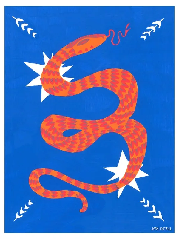 Wholesale Snake And Stars