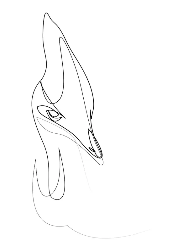Direct From Factory Cassowary