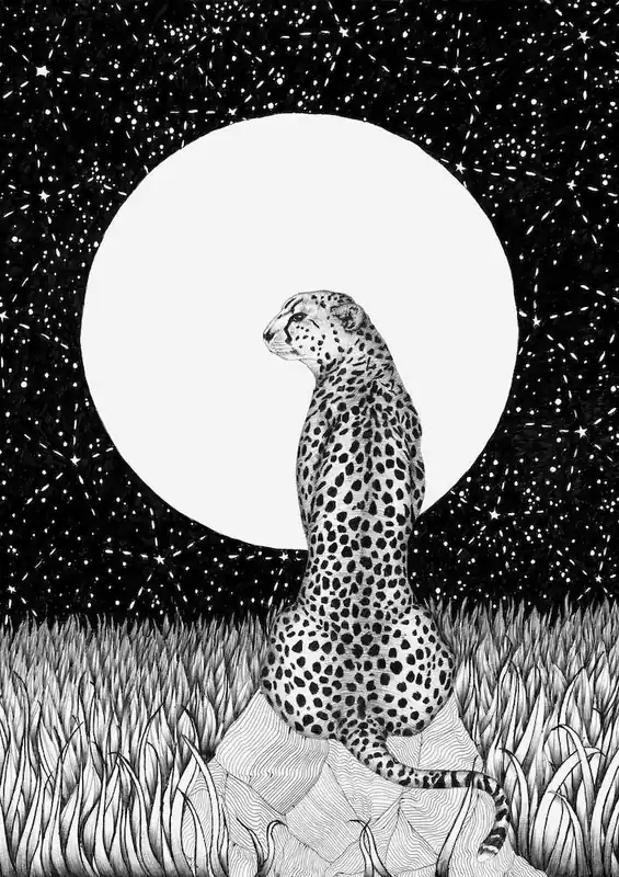 Cheetah Moon Budget
