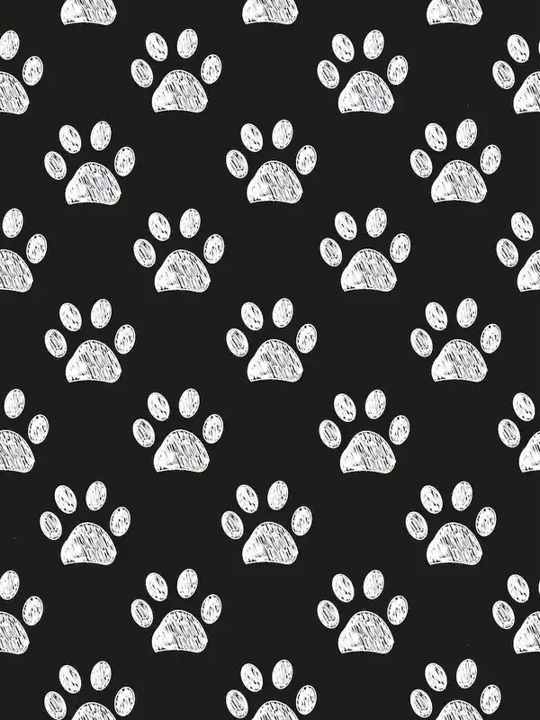 Black White Paw Prints High Quality