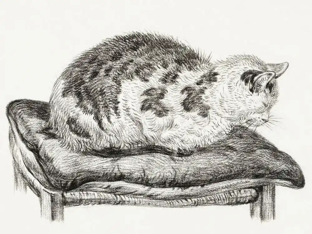Lying Cat On A Pillow, Jean Bernard Factory Price