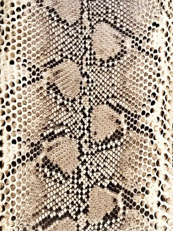 Reduced Price Snake Skin