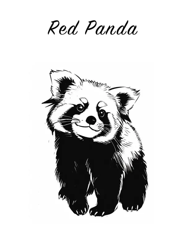 B&W Red Panda Poster Popular