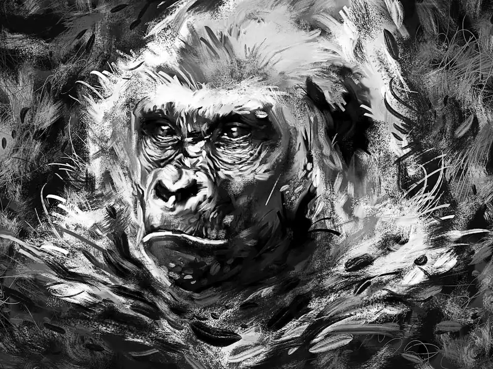 Gorilla In Black And White 1 Order Now