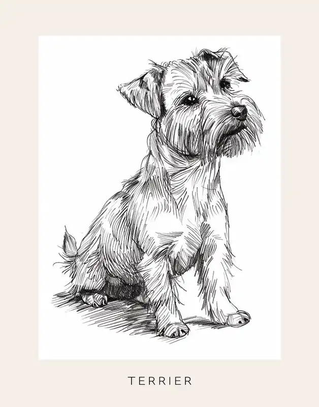 Low Price Cute Terrier Dog Line Art 2 Poster