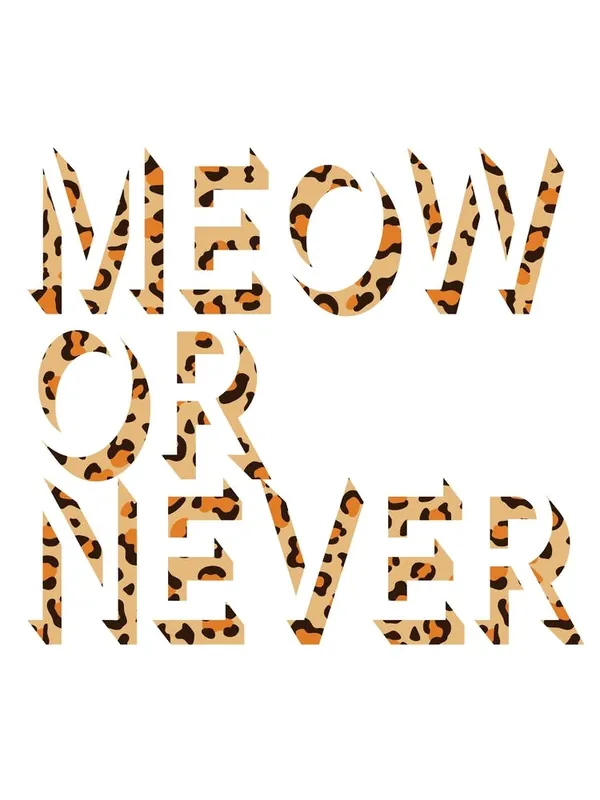 Meow Or Never Special Offer