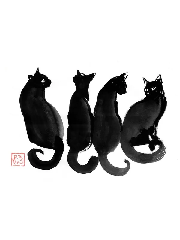 4 Cats Must Have