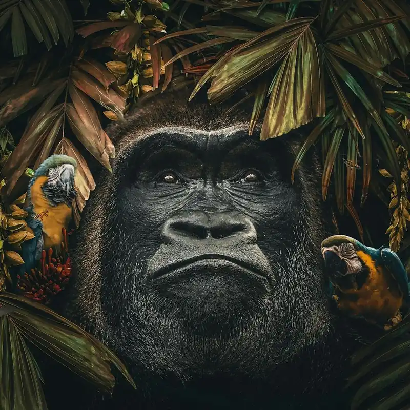 Gorilla in the Jungle Trending