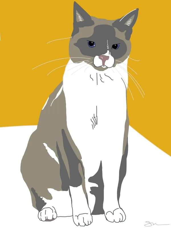 Snowshoe Cat Latest