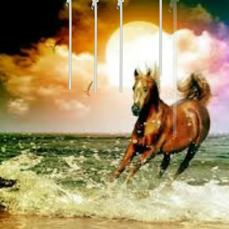 Horse On The Beach Cheap