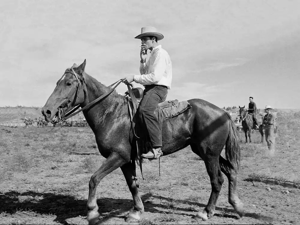Cowboy Riding A Horse, Western Aesthetic, Vintage Black and White Old Photo Best Choice
