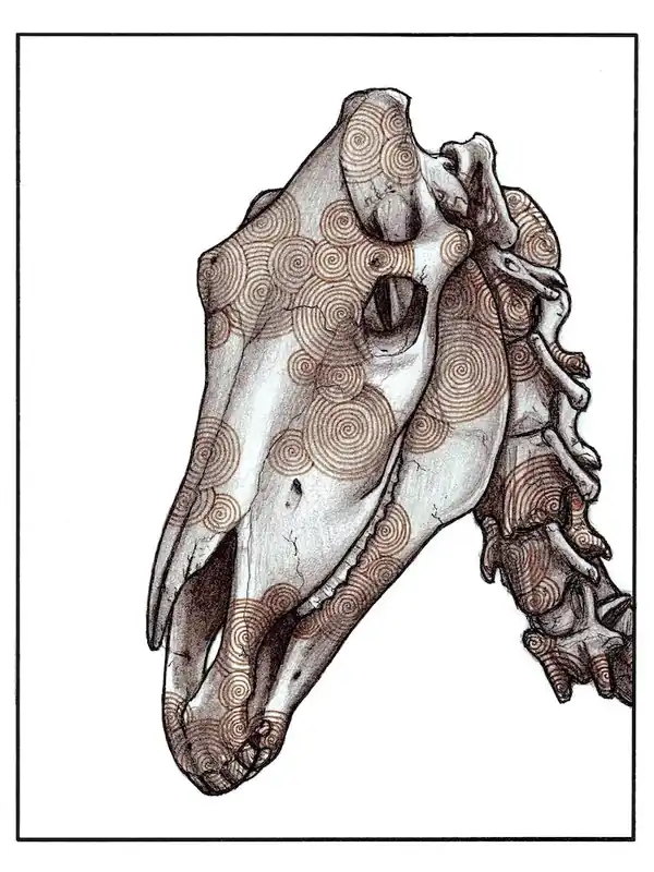 Modern Horse Skull Red
