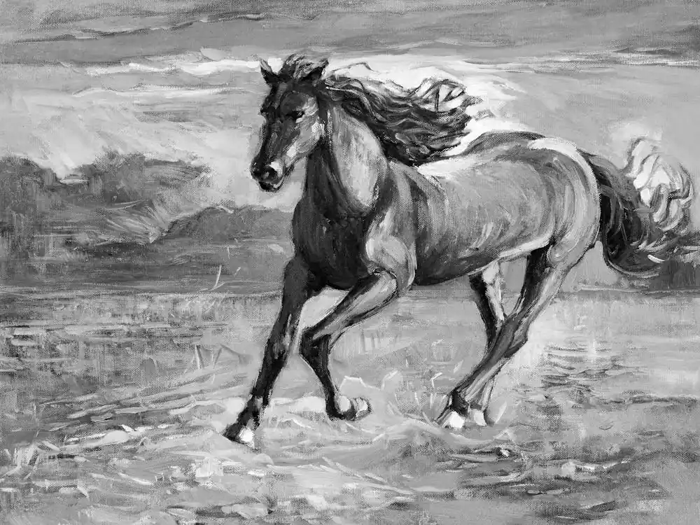 Horse Galloping In Demand
