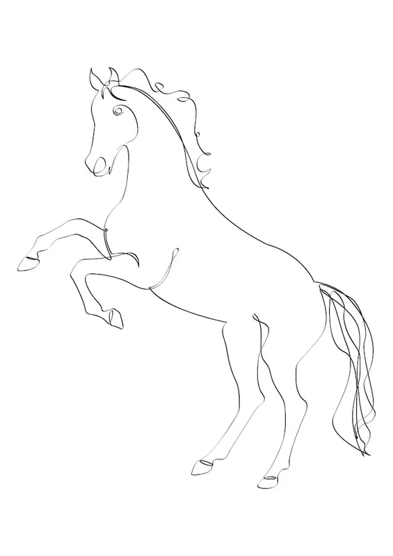 Horse Line II Luxury