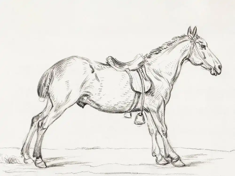 Buy Direct Saddled Horse, Jean Bernard