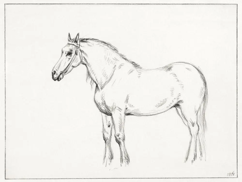 Standing Horse 2, Jean Bernard Exclusive Offer
