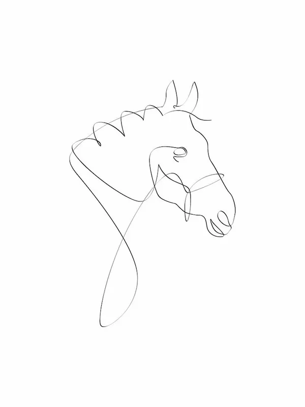 Horse Line I Free Shipping
