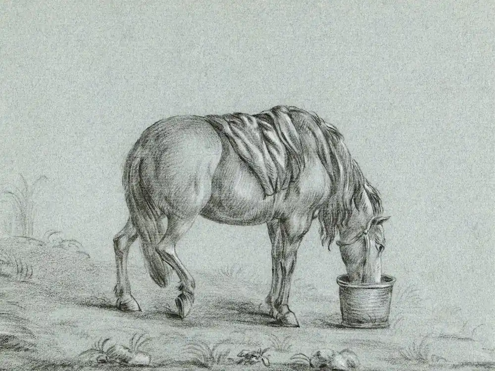 Horse Eating From A Bin, Jean Bernard Reduced Price