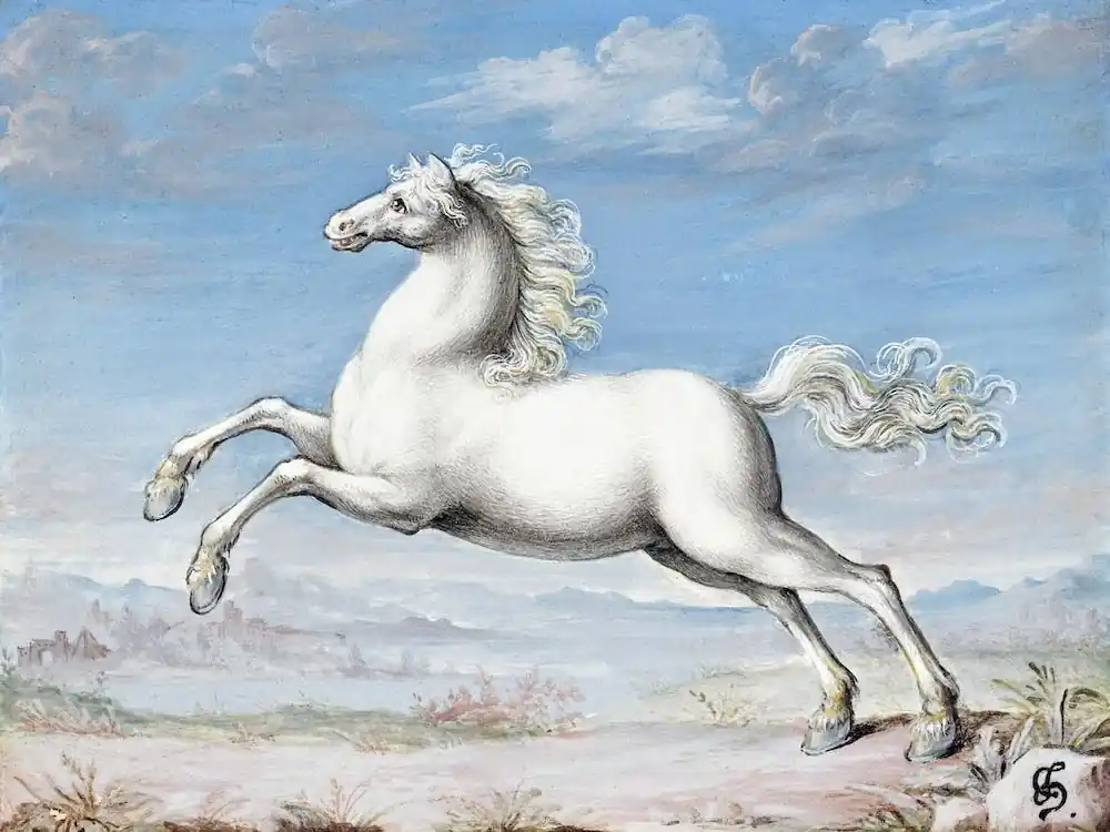 Free Shipping White Horse, Joris Hoefnagel