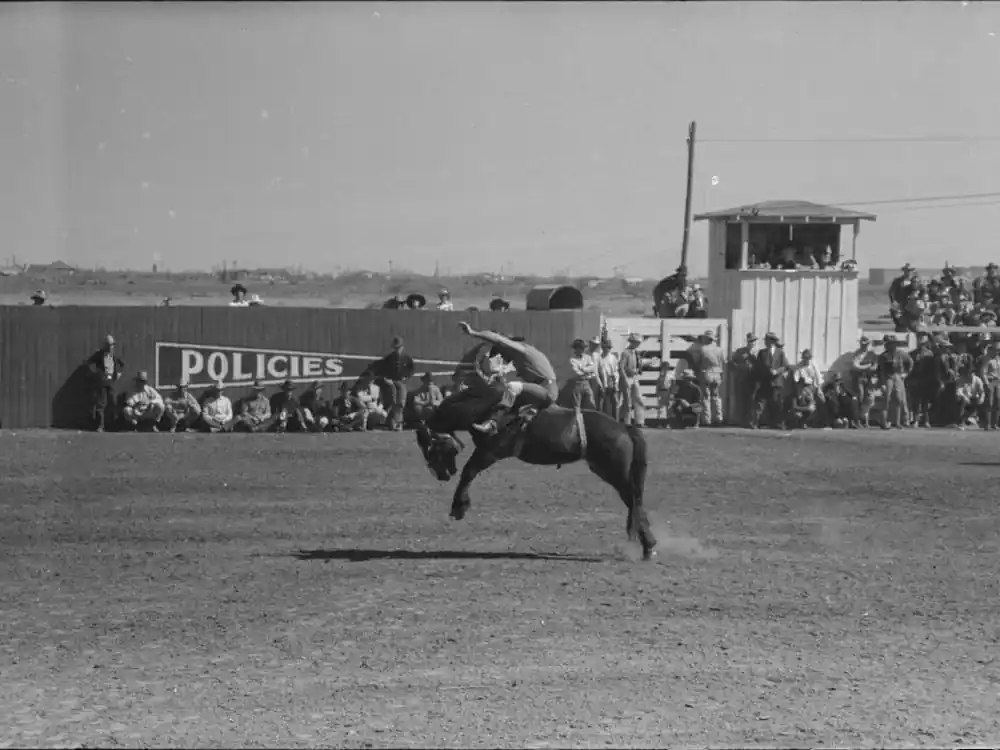 Authentic Untitled Photo, Possibly Related To Fancy Riding Demonstration At The Rodeo Of The San Angelo Fat Stock Show,