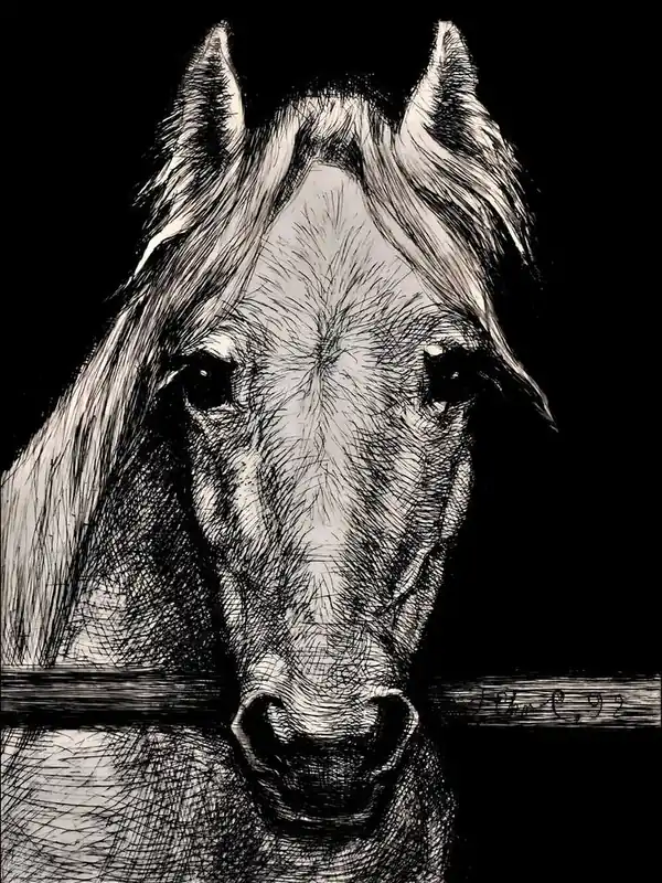 Buy Direct A Horse's Head by Hans Christian Gether Caspersen (1892)