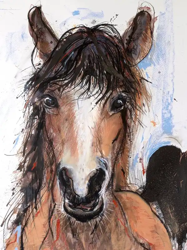 Crazy Horse Fan Favorite