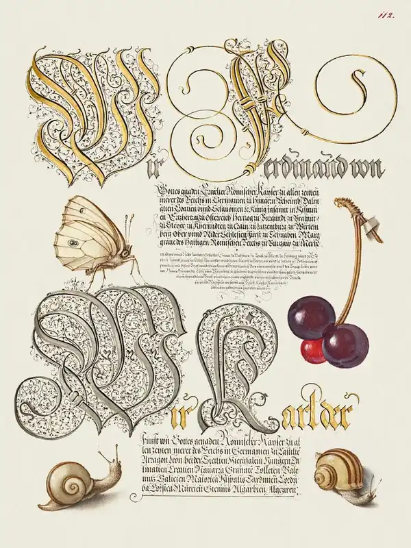Butterfly, Sweet Cherry, And Land Snails From Mira Calligraphiae Monumenta, Joris Hoefnagel Viral