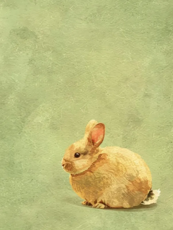 In Demand Rabbit On A Green Background
