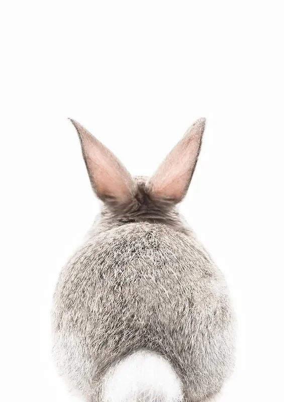 In Demand Bunny Tale