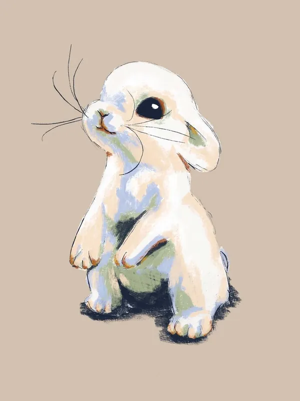 Baby Bunny Special Discount