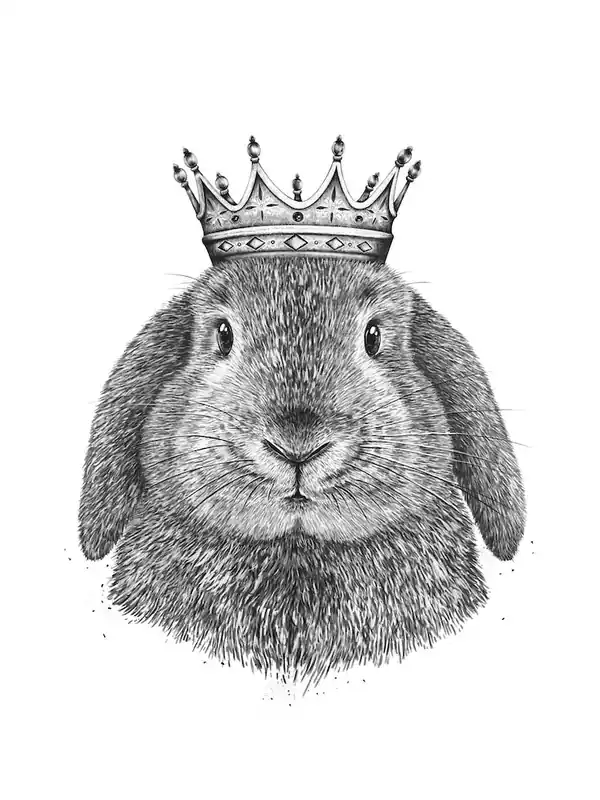 Deal King Rabbit