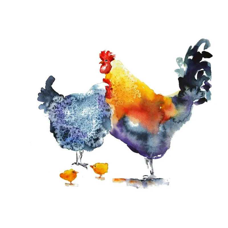 Roosters Time-Limited