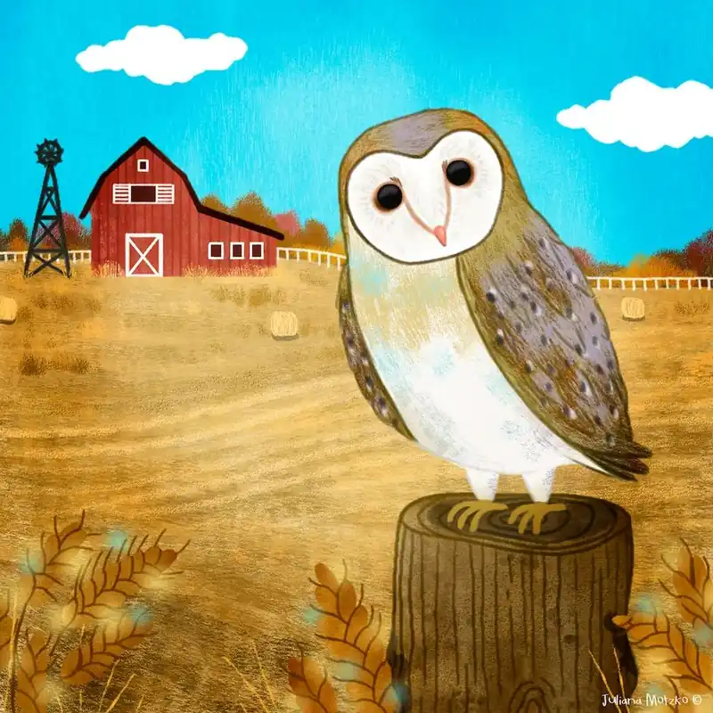 Barn Owl Square Today Only