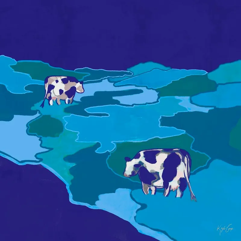 Premium Grazing Cows