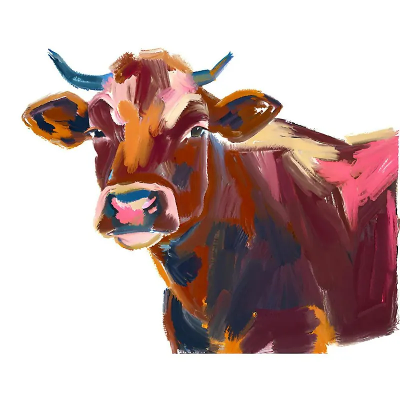 Angus Cow 01 1 Viral
