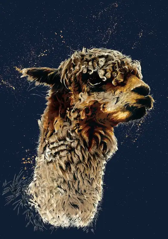 The Alpaca On Midnight Blue Affordable