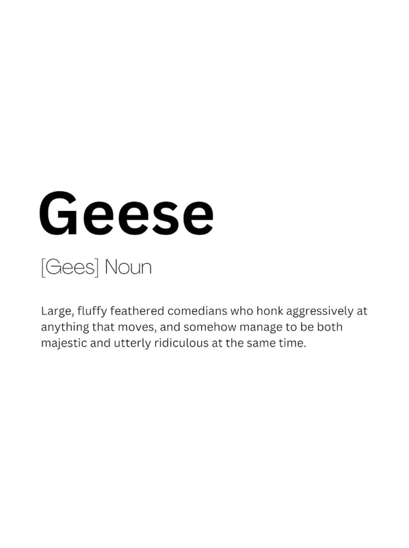 Geese Definition Meaning Low Price